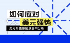 满瑞网：美元强势原因分析及对策总结