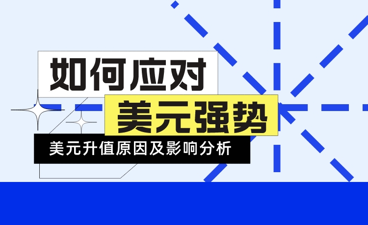 满瑞网：美元强势原因分析及对策总结