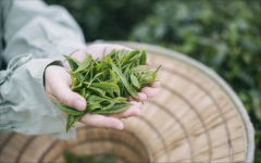 【深度调查】配资平台公司行业乱象与监管困局