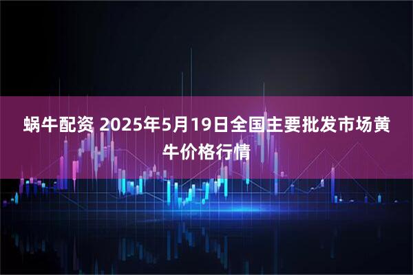 蜗牛配资 2025年5月19日全国主要批发市场黄牛价格行情