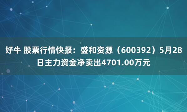 好牛 股票行情快报：盛和资源（600392）5月28日主力资金净卖出4701.00万元