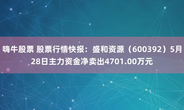 嗨牛股票 股票行情快报：盛和资源（600392）5月28日主力资金净卖出4701.00万元