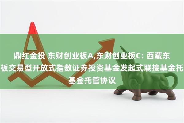 鼎红金投 东财创业板A,东财创业板C: 西藏东财创业板交易型开放式指数证券投资基金发起式联接基金托管协议