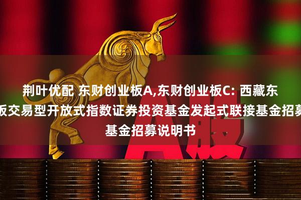 荆叶优配 东财创业板A,东财创业板C: 西藏东财创业板交易型开放式指数证券投资基金发起式联接基金招募说明书