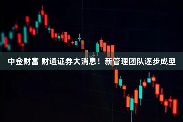 中金财富 财通证券大消息！新管理团队逐步成型