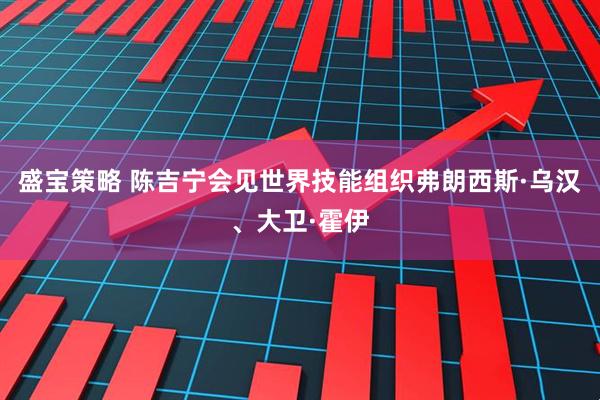 盛宝策略 陈吉宁会见世界技能组织弗朗西斯·乌汉、大卫·霍伊
